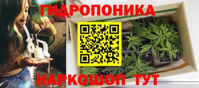 альфа пвп Анжеро-Судженск